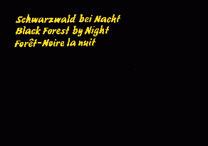 Schwarzwald bei Nacht / Black Forest by Night / Fort-Noire la nuit