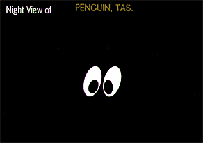 Night View of Penguin, Tas.