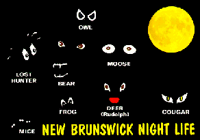 NEW BRUNSWICK NIGHT LIFE