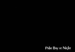 Palm Bay at Night