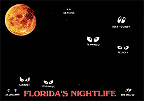 FLORIDA's NIGHTLIFE