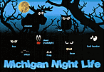 Michigan Night Life