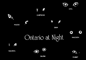 Ontario at Night