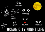 OCEAN CITY NIGHT LIFE