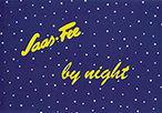 Saas-Fee by night