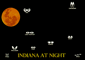 INDIANA AT NIGHT