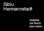 Sibiu/Hermannstadt noaptea / bei Nacht / dum nokto