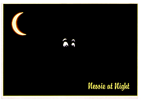 Nessie at Night