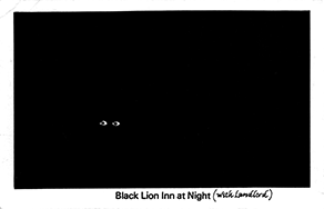 Black Lion Inn at Night (with Landlord)