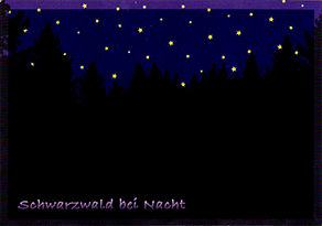 Schwarzwald bei Nacht