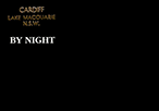 CARDIFF LAKE MACQUARIE N.S.W. BY NIGHT