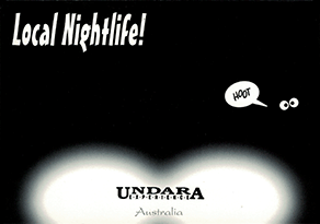 Local Nightlife! UNDARA EXPERIENCE Australia