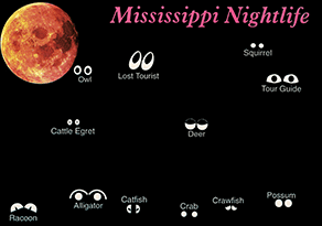 Mississippi Nightlife
