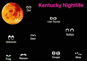 Kentucky Nightlife