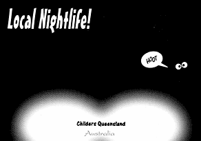 Local Nightlife! Childers Queensland Australia