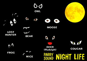 PARRY SOUND NIGHT LIFE