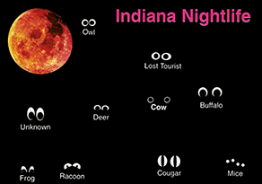 Indiana Nightlife